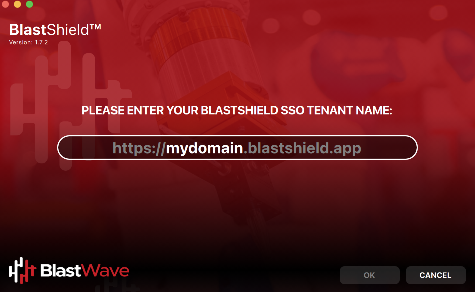 If your SSO Tenant URL is mydomain.blastshield.app then ensure that mydomain is entered here.
