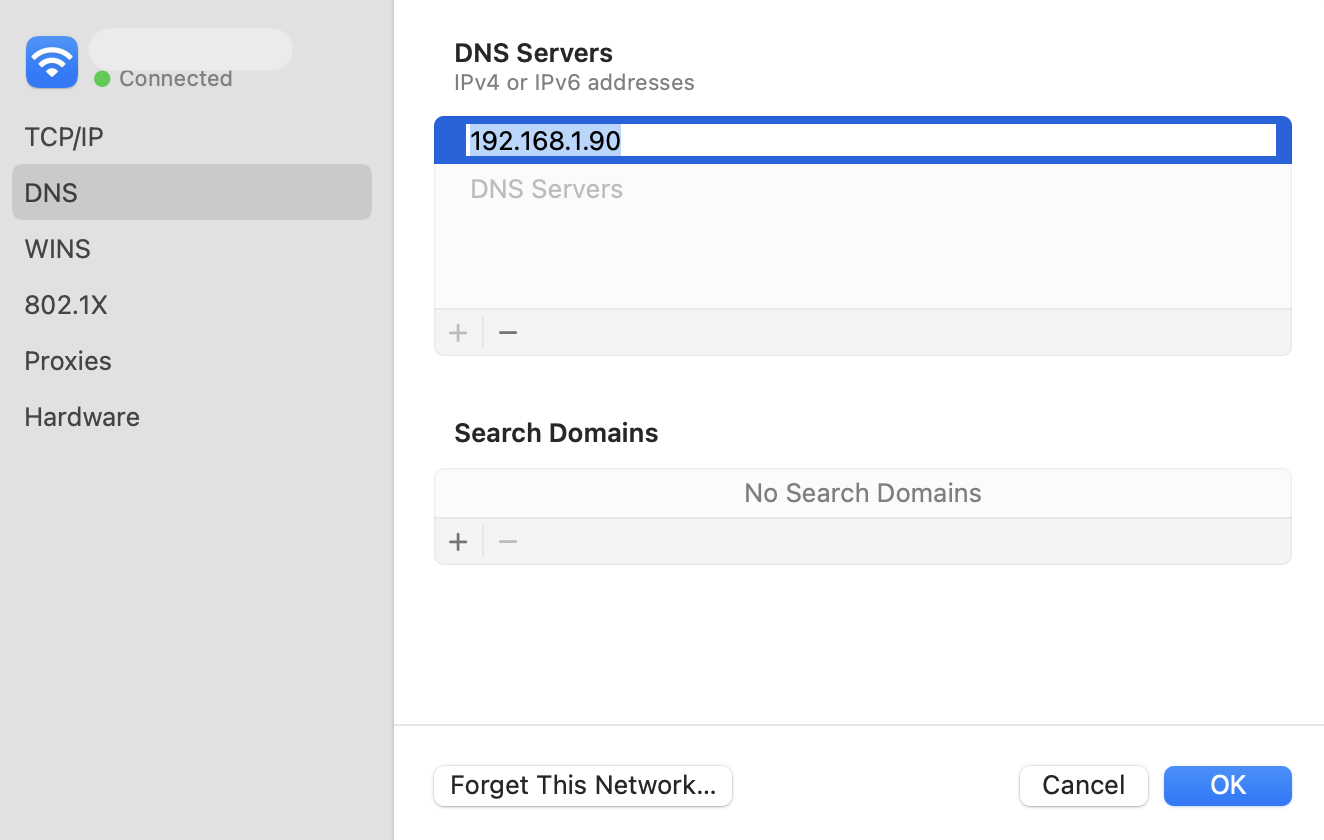 On macOS the DNS can be changed in the network System Settings