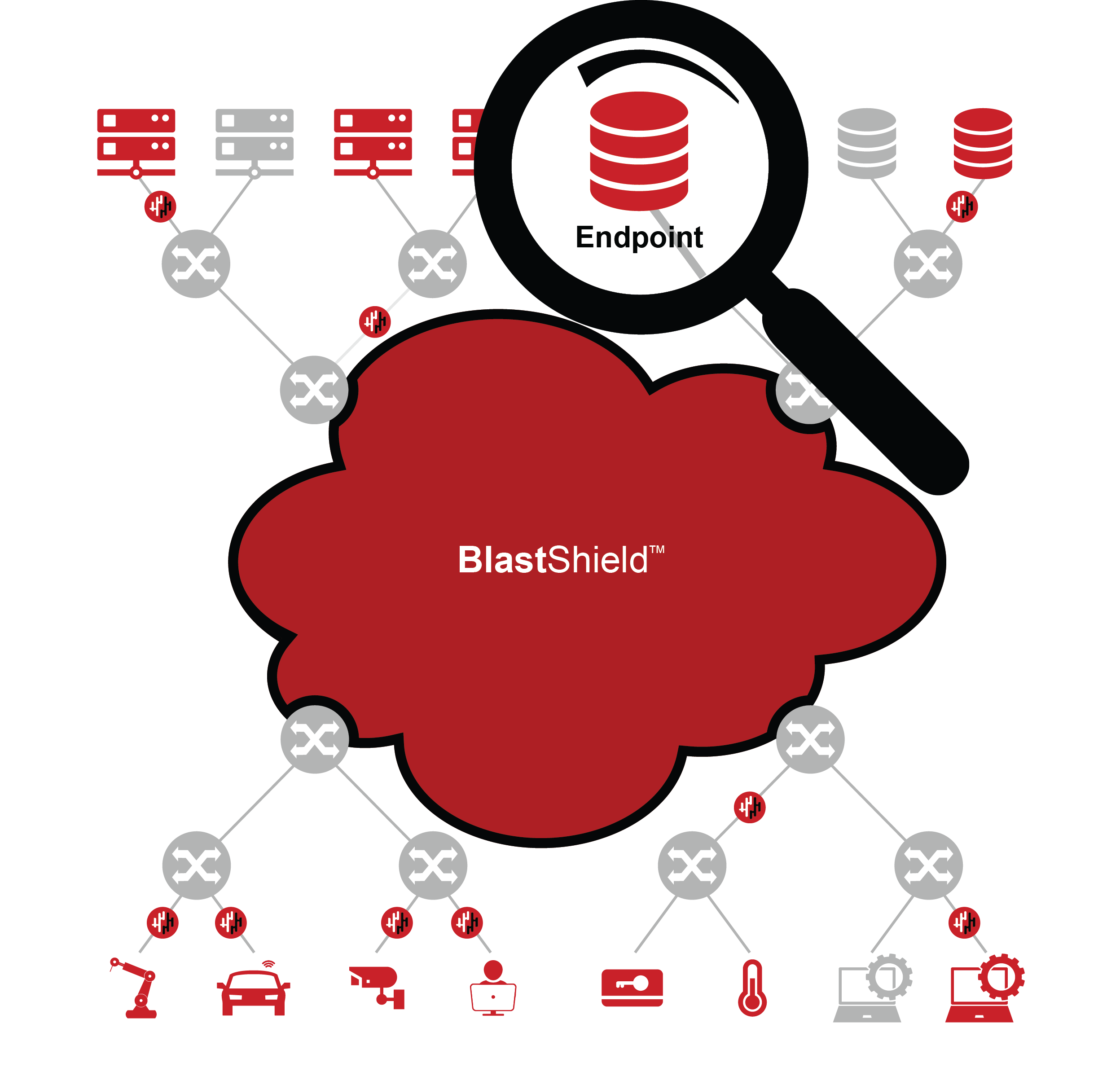 dia-BlastShield_Endpoints.png
