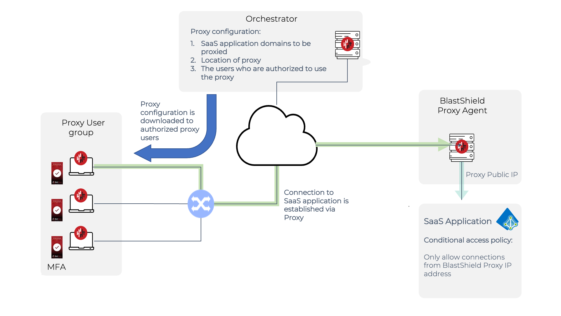 SaaS_Proxy_Network.png