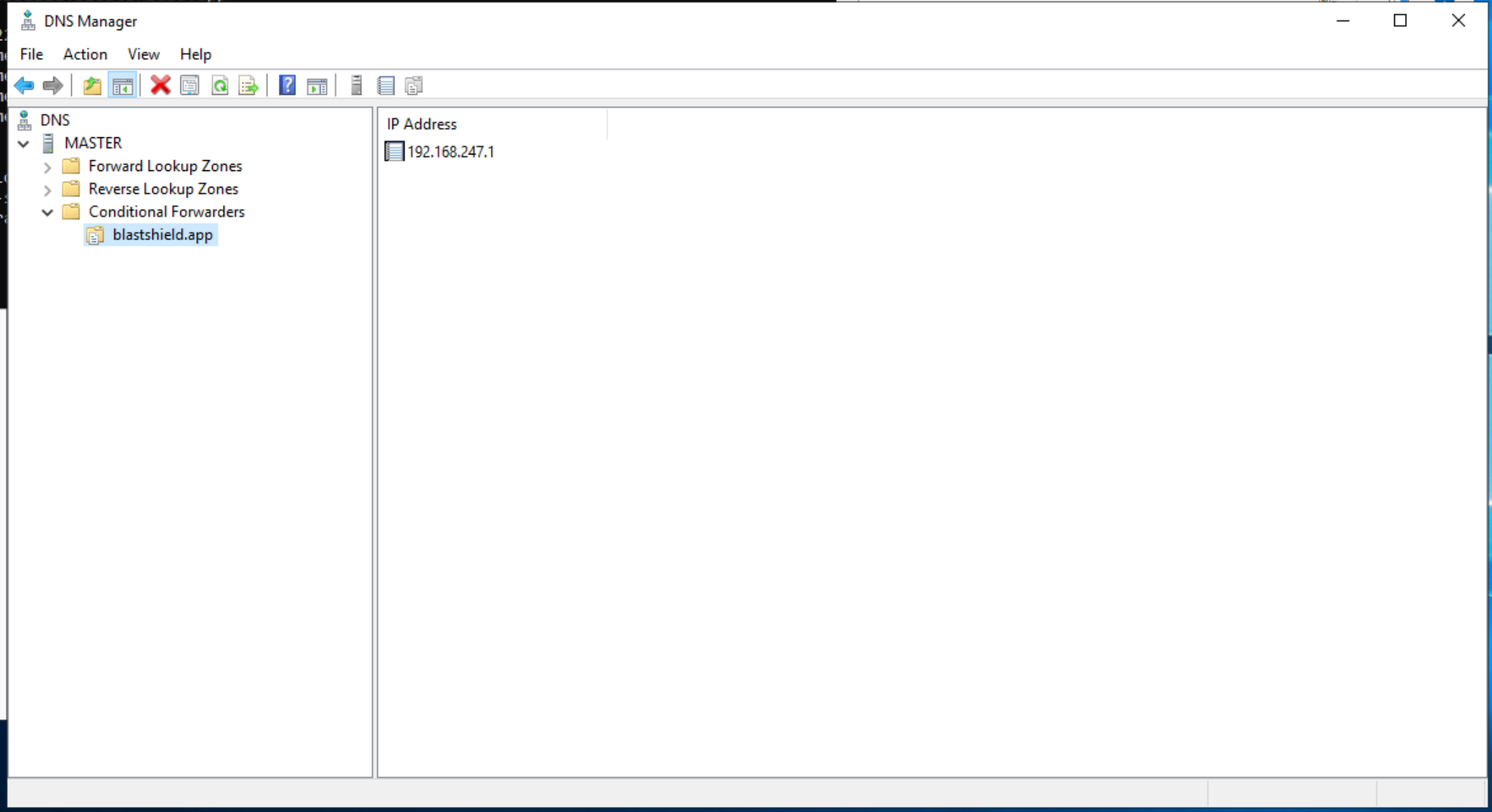 conditonal-forwarder.png